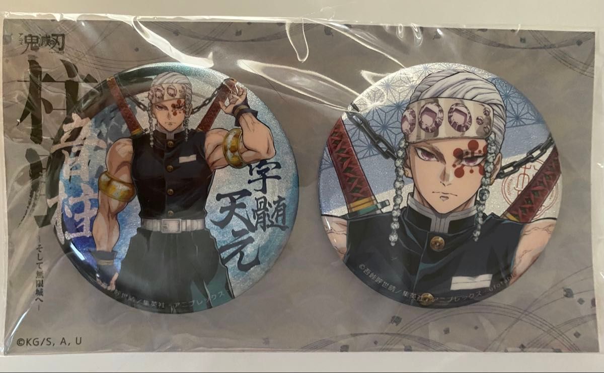 翌日には35000に戻します]鬼滅の刃 胡蝶しのぶ キービジュアル 缶