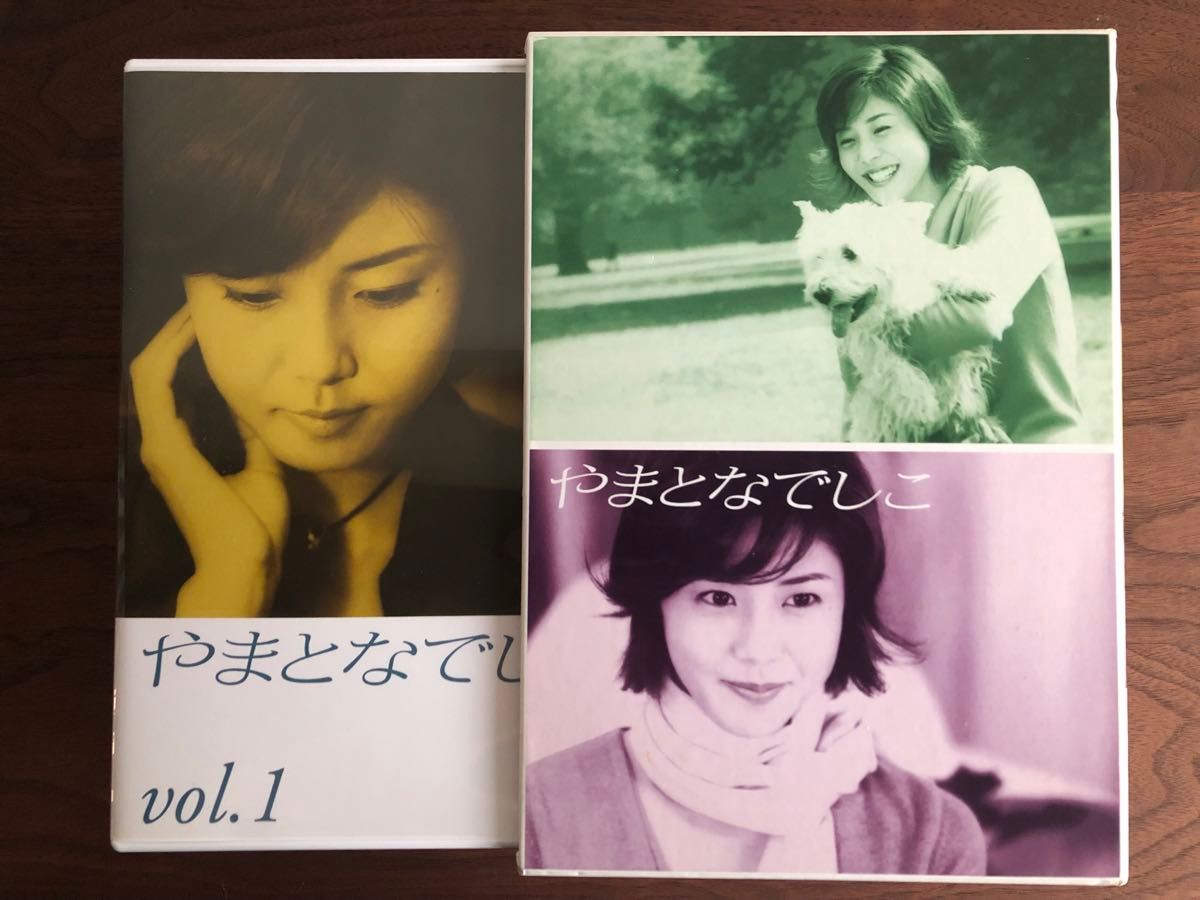 廃盤レア入手困難 やまとなでしこDVD-BOX 松嶋菜々子/堤真一/矢田