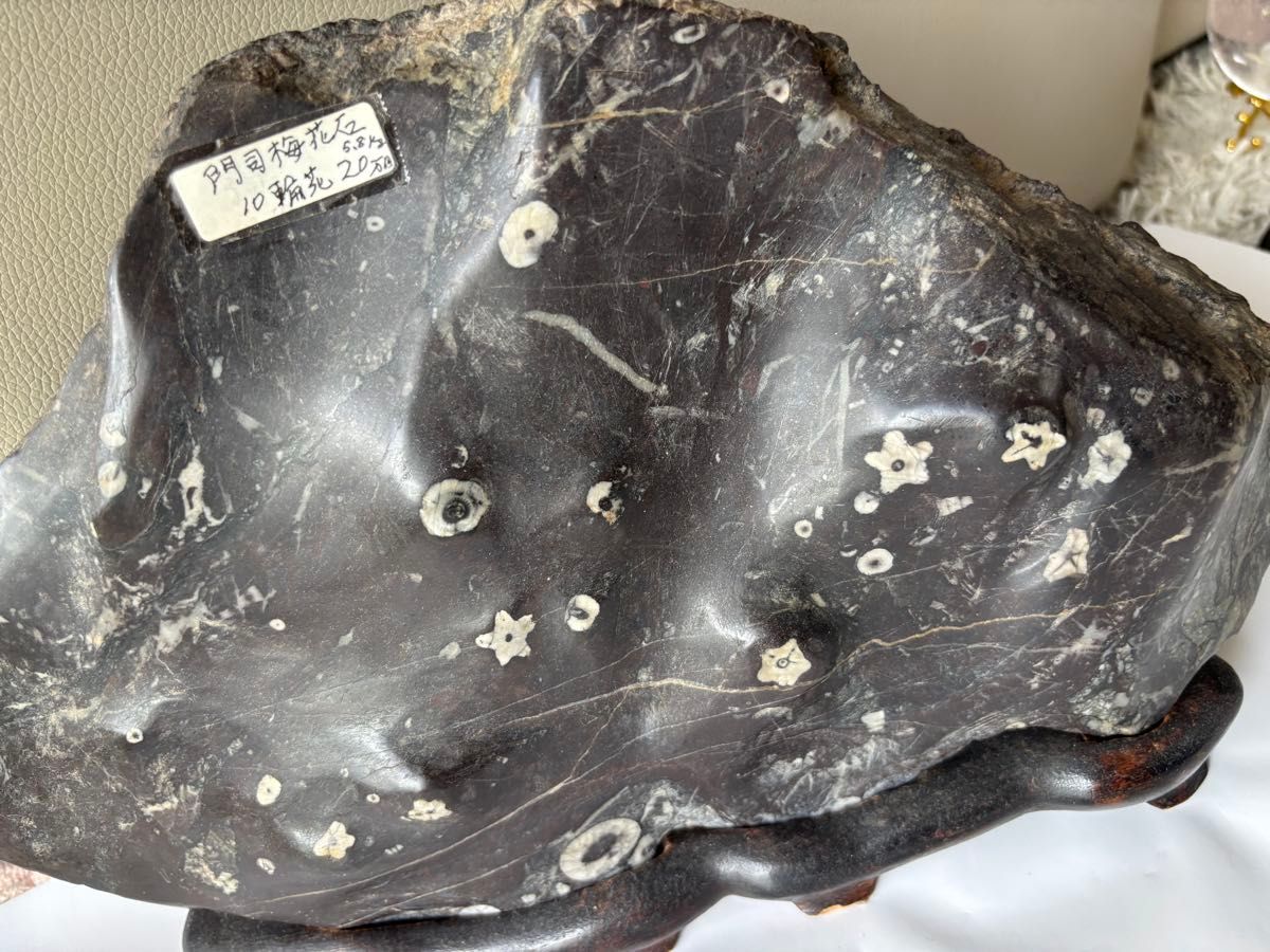 梅花石 鑑賞石 置物 天然石 台座付き 珍しい模様 現在では入手困難な