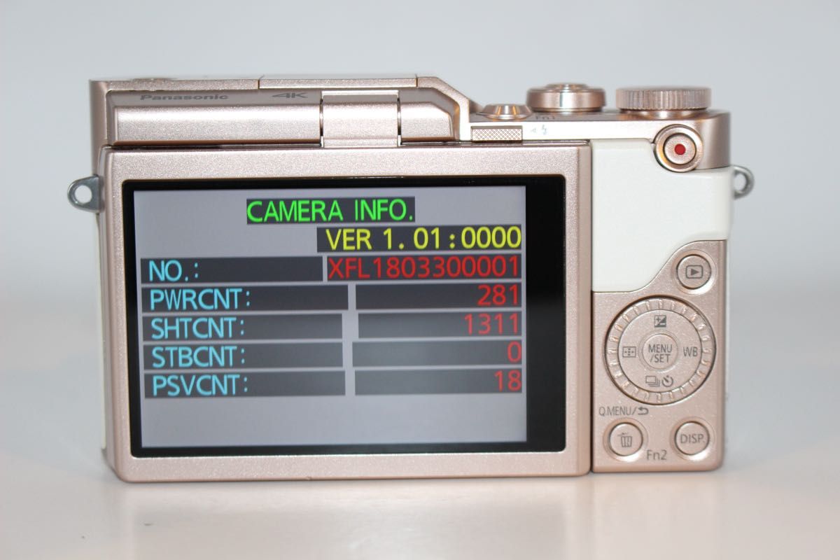 最終値下げ 未使用級数ショット1311回 LUMIX DC-GF10 ダブルレンズ