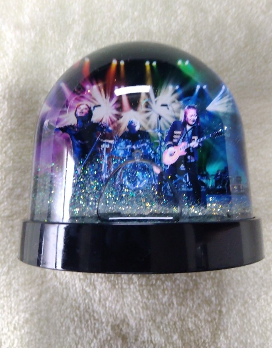 甲斐バンド グッズ 50周年記念 日本武道館ライブ スペシャルVIP席限定