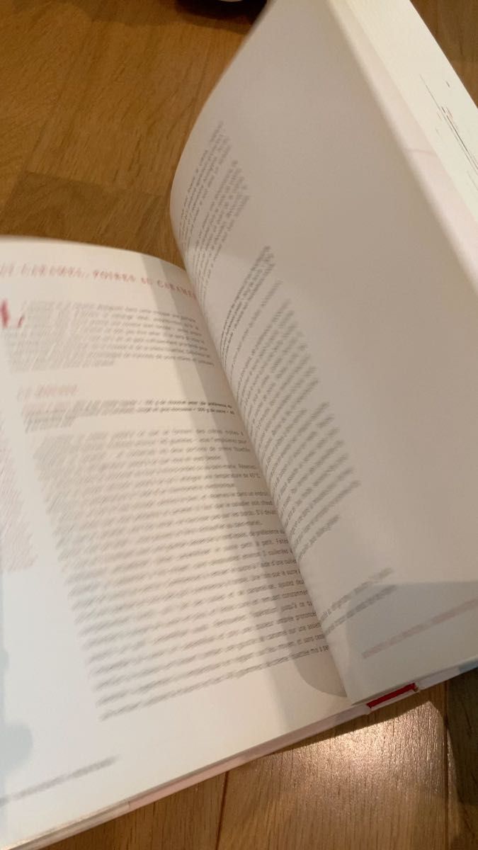 ラデュレ 新品未開封 L'Esprit Chocolat チョコレート 本 フランス語