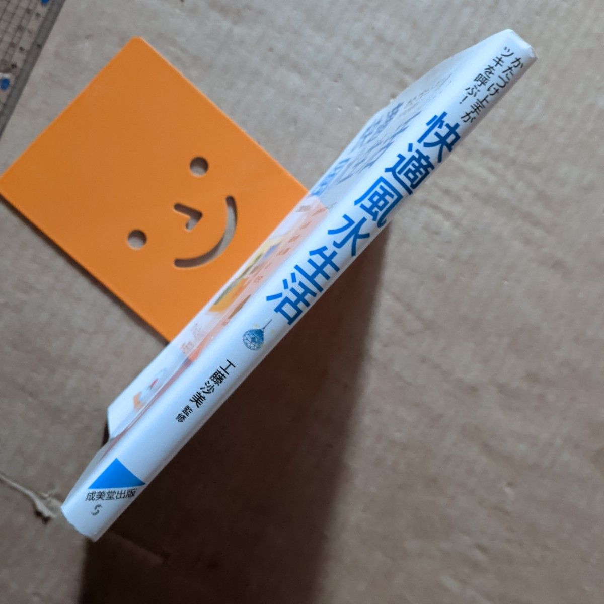 快適風水生活 かたづけ上手がツキを呼ぶ 開運金運 ラッキーアイテム