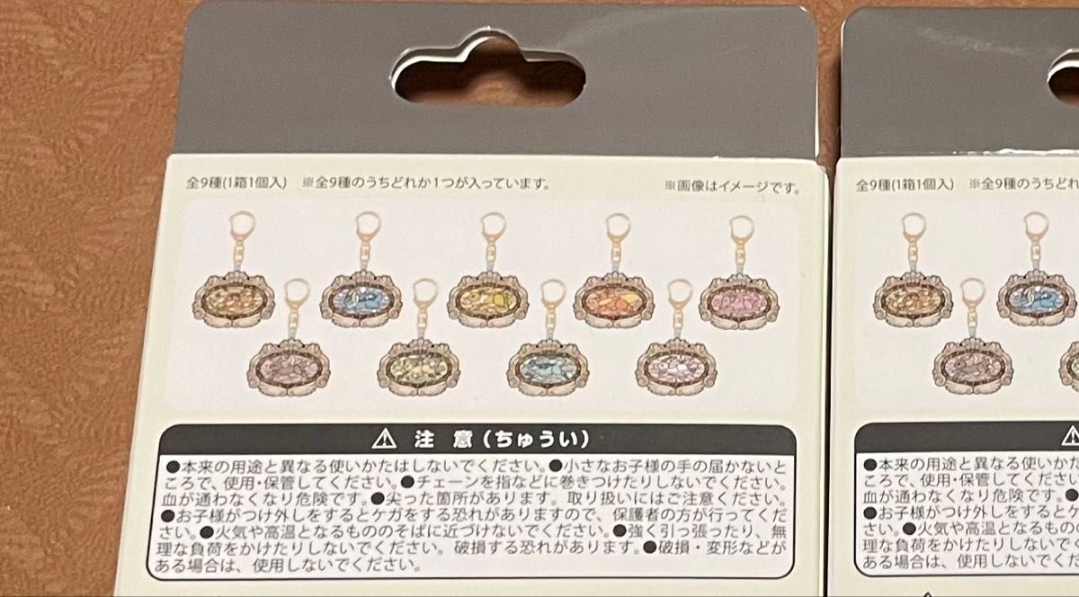 ポケパーク カントー 限定 ブイブイヴォヤージュ イーブイズ アクリル