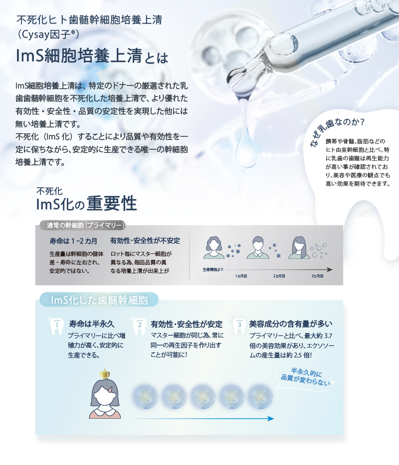 iP CY エモータルセラム