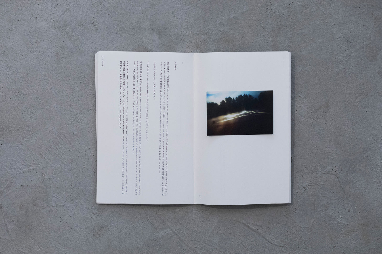 カナリア門｜志賀理江子 – At Sea Day