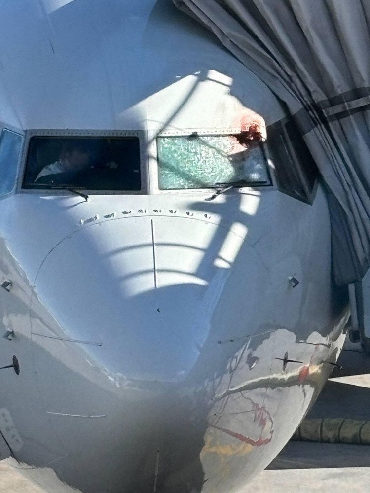 Accident: Flair B38M at Toronto on Oct 24th 2024, bird strike