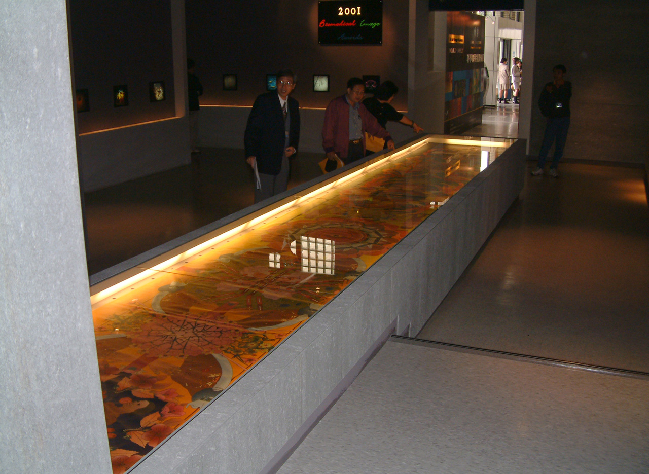 AYA BEN RON | Hanging | 2001-2013