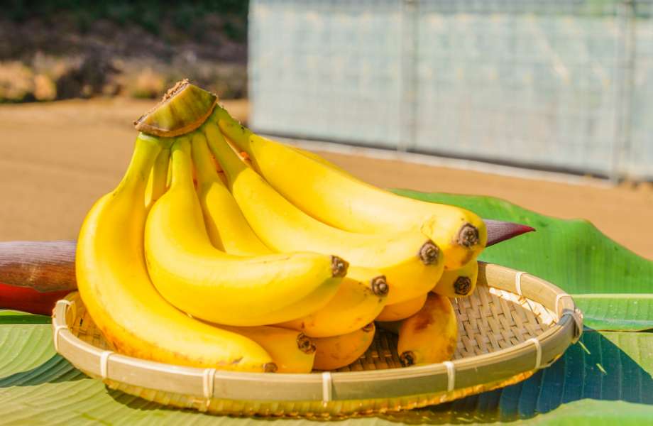 バナナ | AYANE farm​ | AYANE farm​ - 株式会社あやねは、益子町で