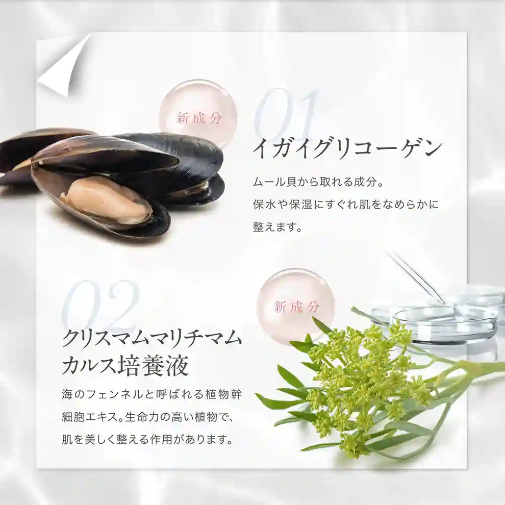 アクシージア ビューティーフォース モイストリッチクリームEX 30g