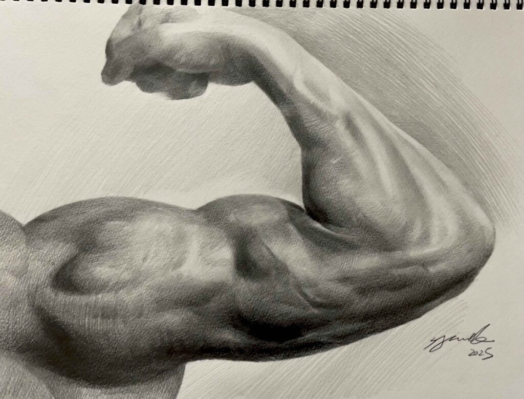 デッサン集中講座 | 大阪絵画教室AZUMAs【大人•美大受験•子ども】