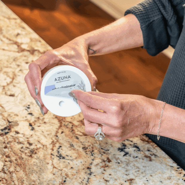 Fridge Air Purifier Odor Eliminating Treatment