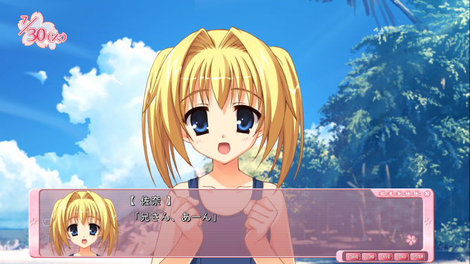 いつまでもあなたの理想の妹で―― 千歳佐奈 | アズサログ