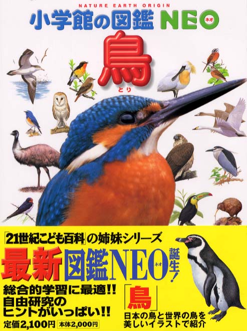 Books Kinokuniya: 鳥 （小学館の図鑑NEO） / 柚木修 上田恵介