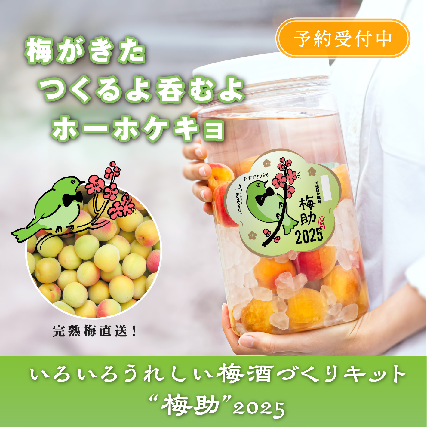 麻婆梅web - BambooCut