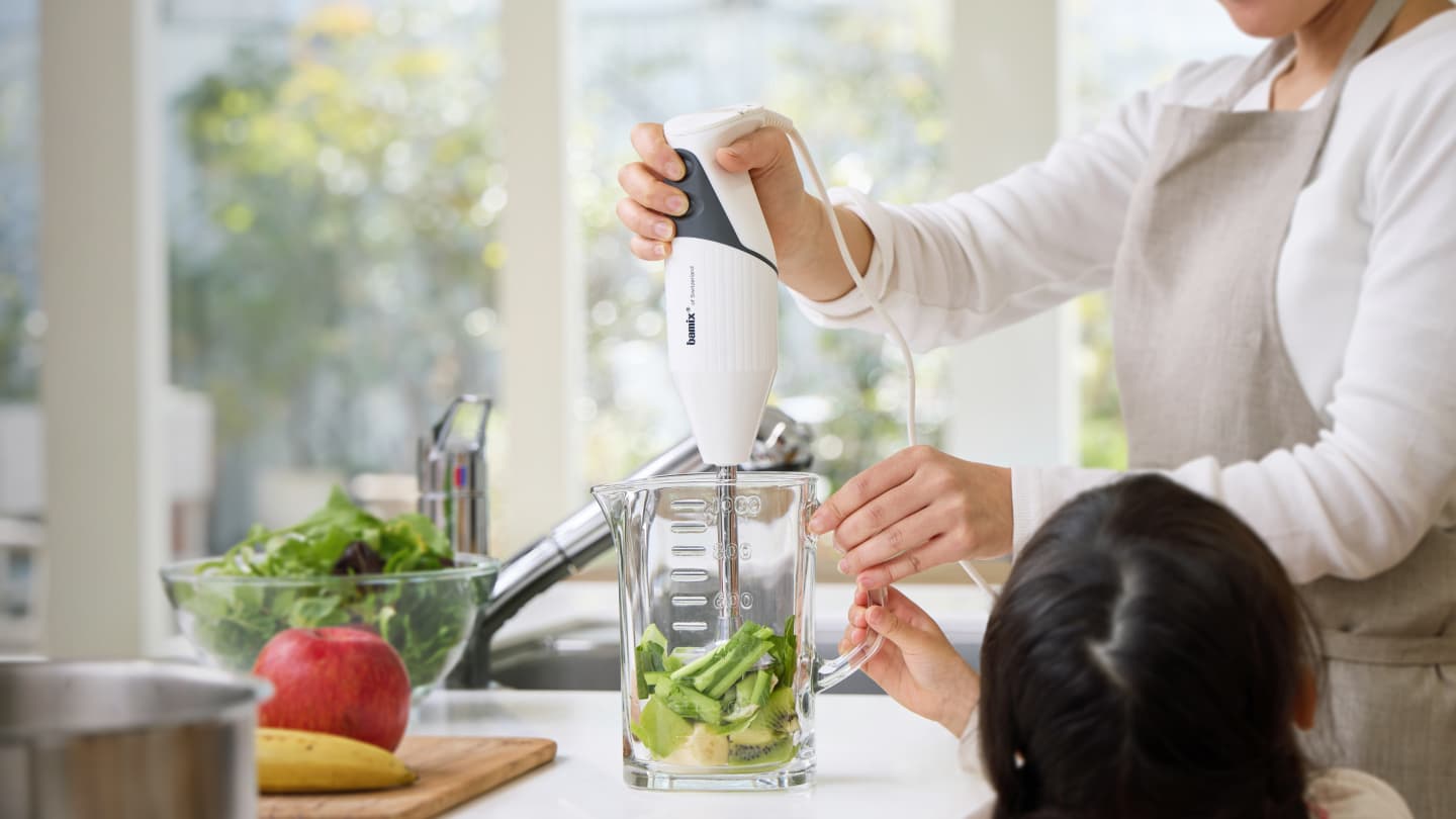 bamix バーミックス ガストロ250 プロ専用モデル bamix バーミックス