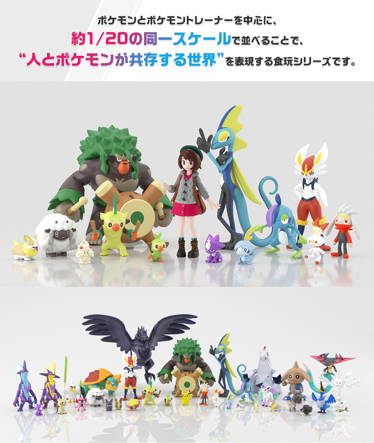 ポケモンスケールワールド ガラル地方 ホップ＆バイウールー