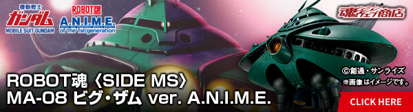 ROBOT魂 ＜SIDE MS＞ MS-09R リック・ドム ver. A.N.I.M.E. ～ソロモン