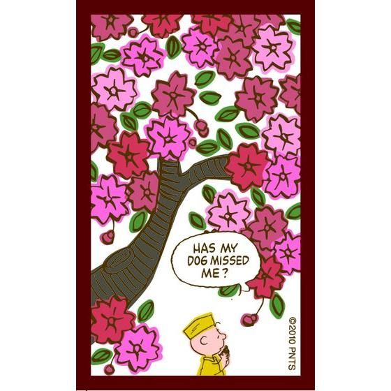 SNOOPY COMIC 花札 PEANUTS WORLD