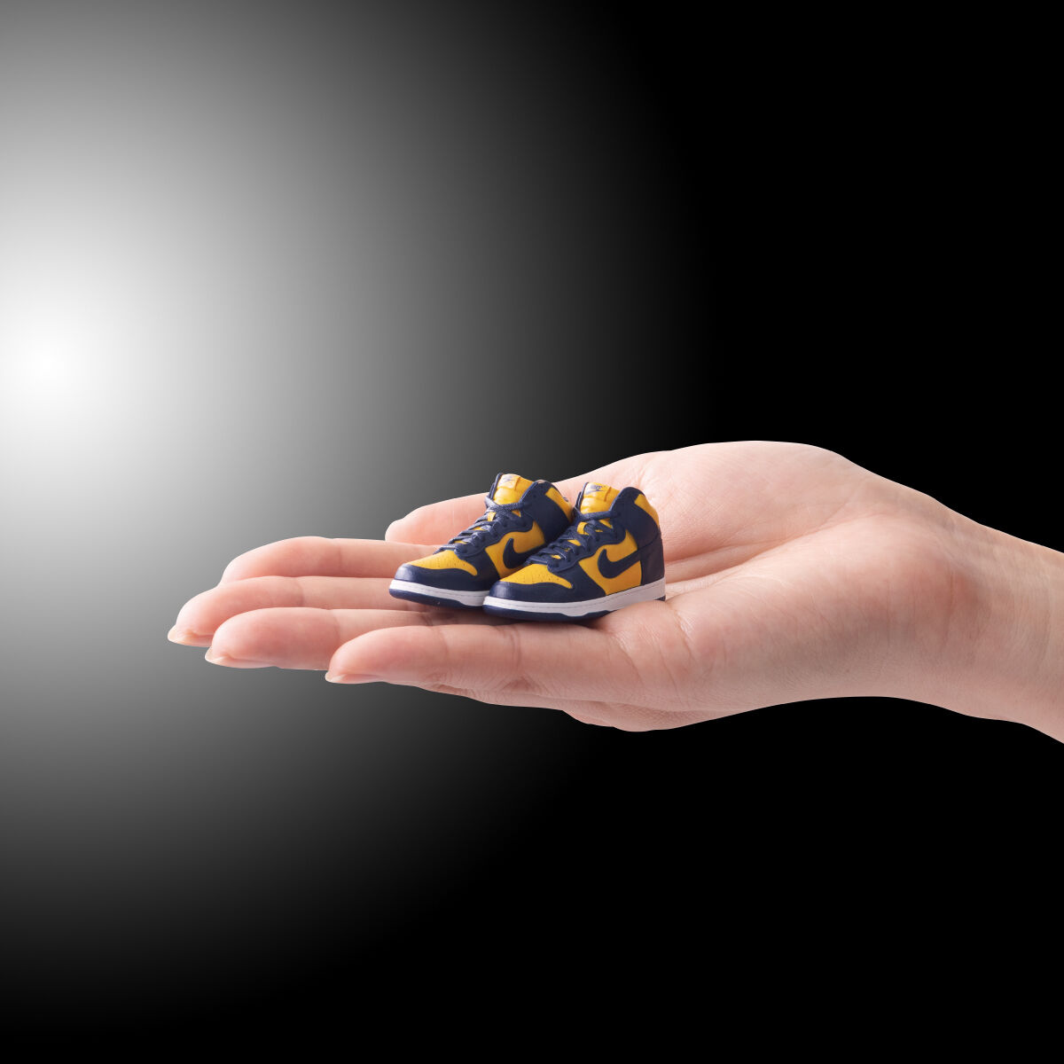 NIKE DUNK HIGH miniature collection | フィギュア | アニメグッズ