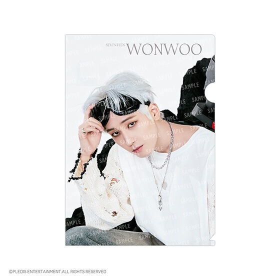 フラットガシャポン】SVTクリアファイル～Face the Sun～ From PLEDIS