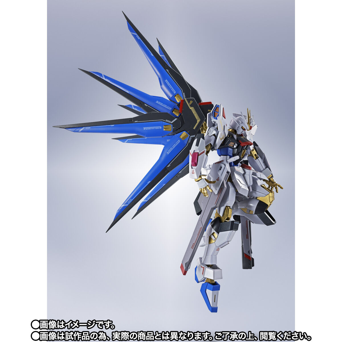 抽選販売】METAL ROBOT魂 ＜SIDE MS＞ ストライクフリーダムガンダム