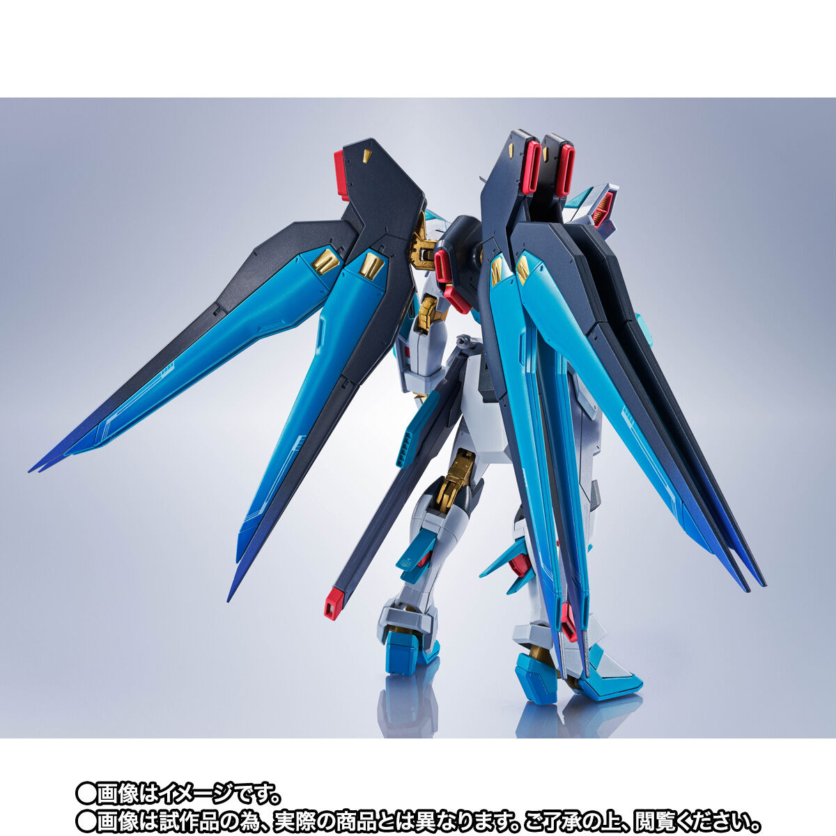 抽選販売】METAL ROBOT魂 ＜SIDE MS＞ ストライクフリーダムガンダム