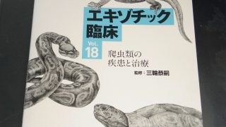 エキゾチック臨床Vol.18 爬虫類の疾患と治療でました！ | ヴァンケット