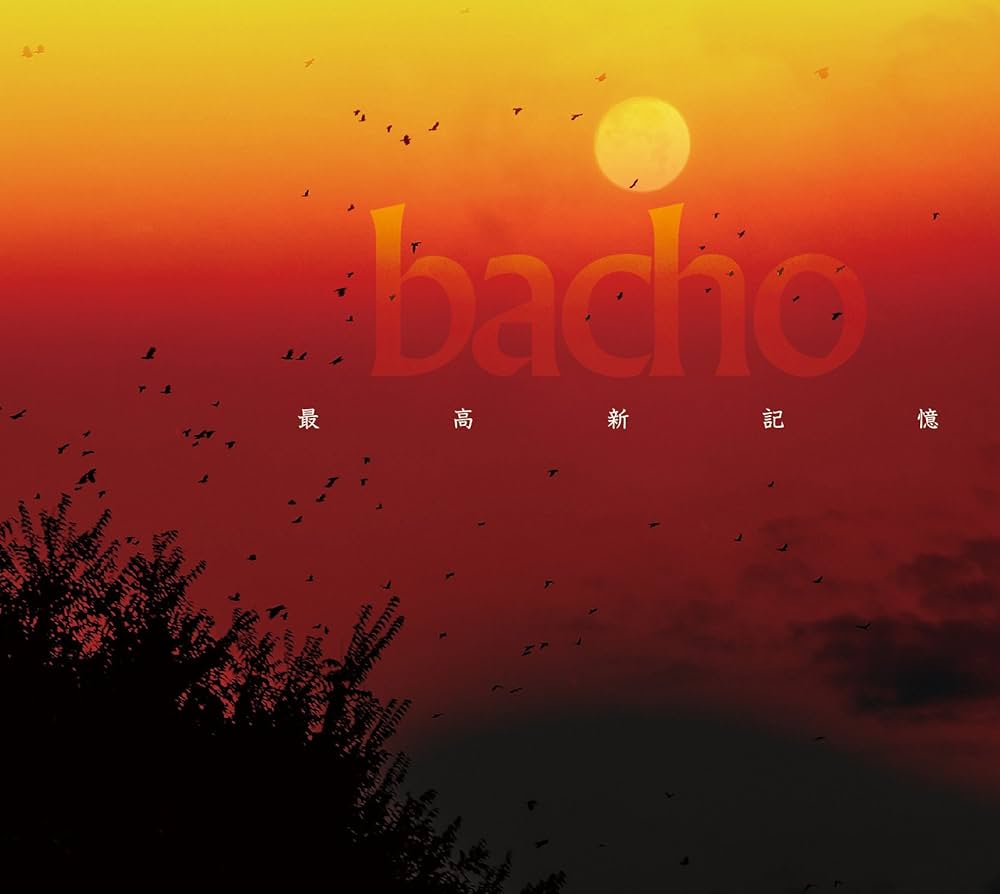 Album – bacho / Online Store