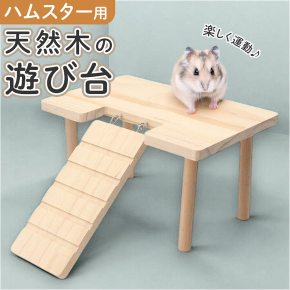 kpet44_580x.jpg?v=1730079728