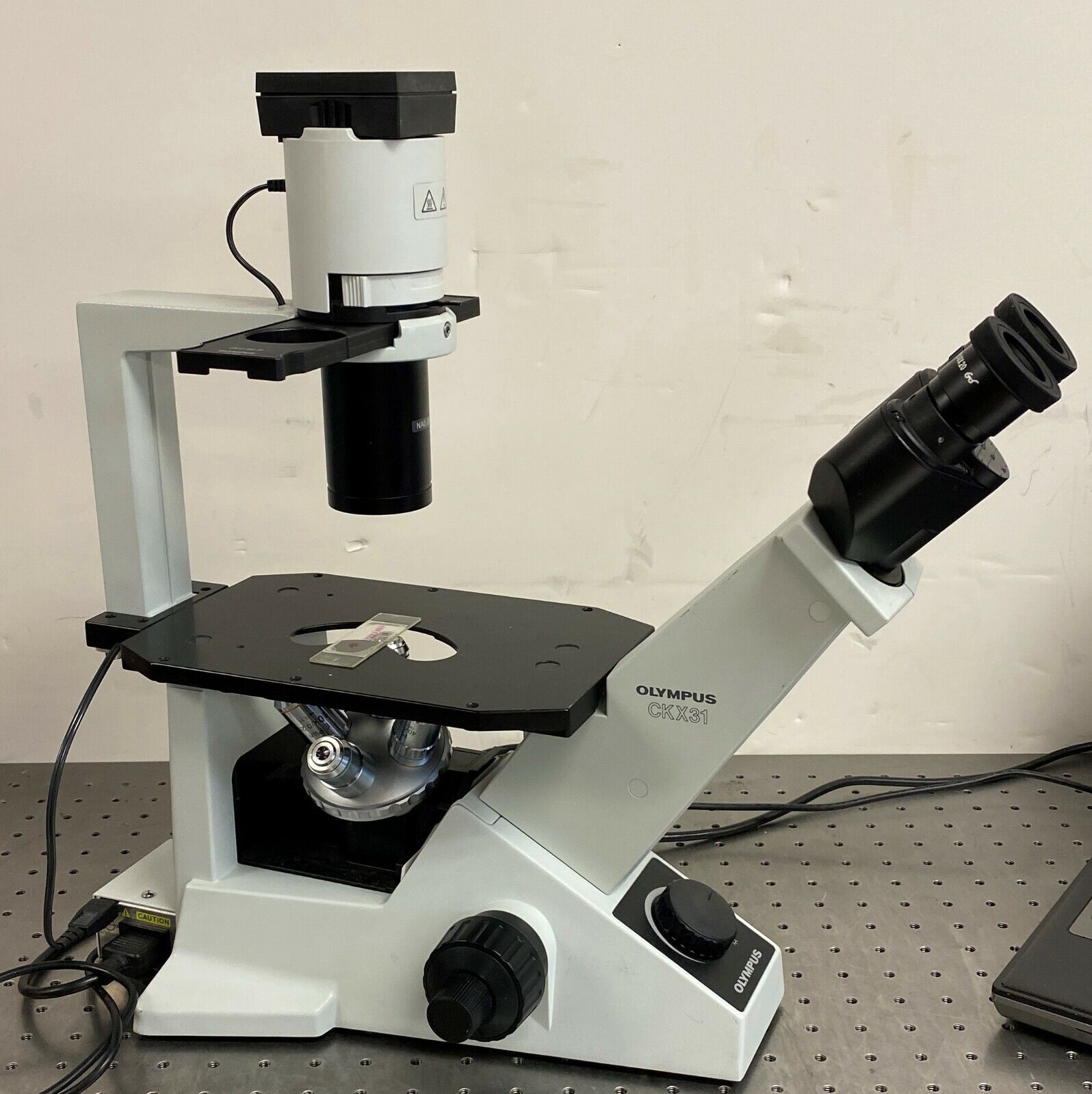 Olympus CKX31 Inverted Phase Contrast Microscope – My Store