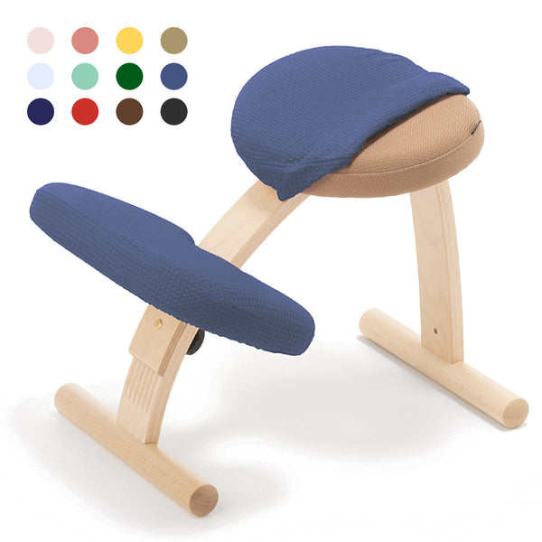 名古屋 引取り限定 リボ社 バランスチェア バランスイージー 2脚セット