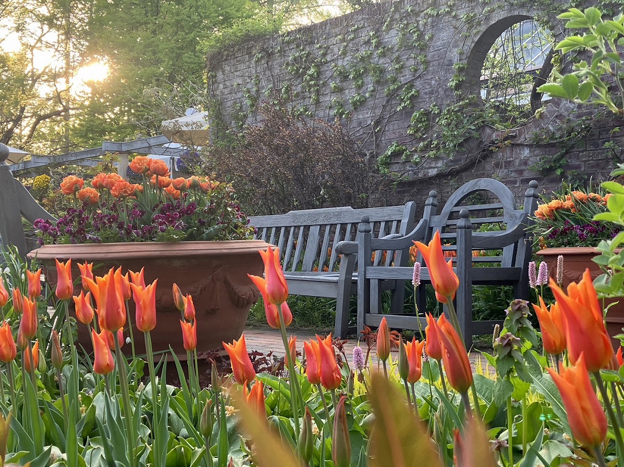 お得な前売券】前売券の販売について | 蓼科高原バラクラ