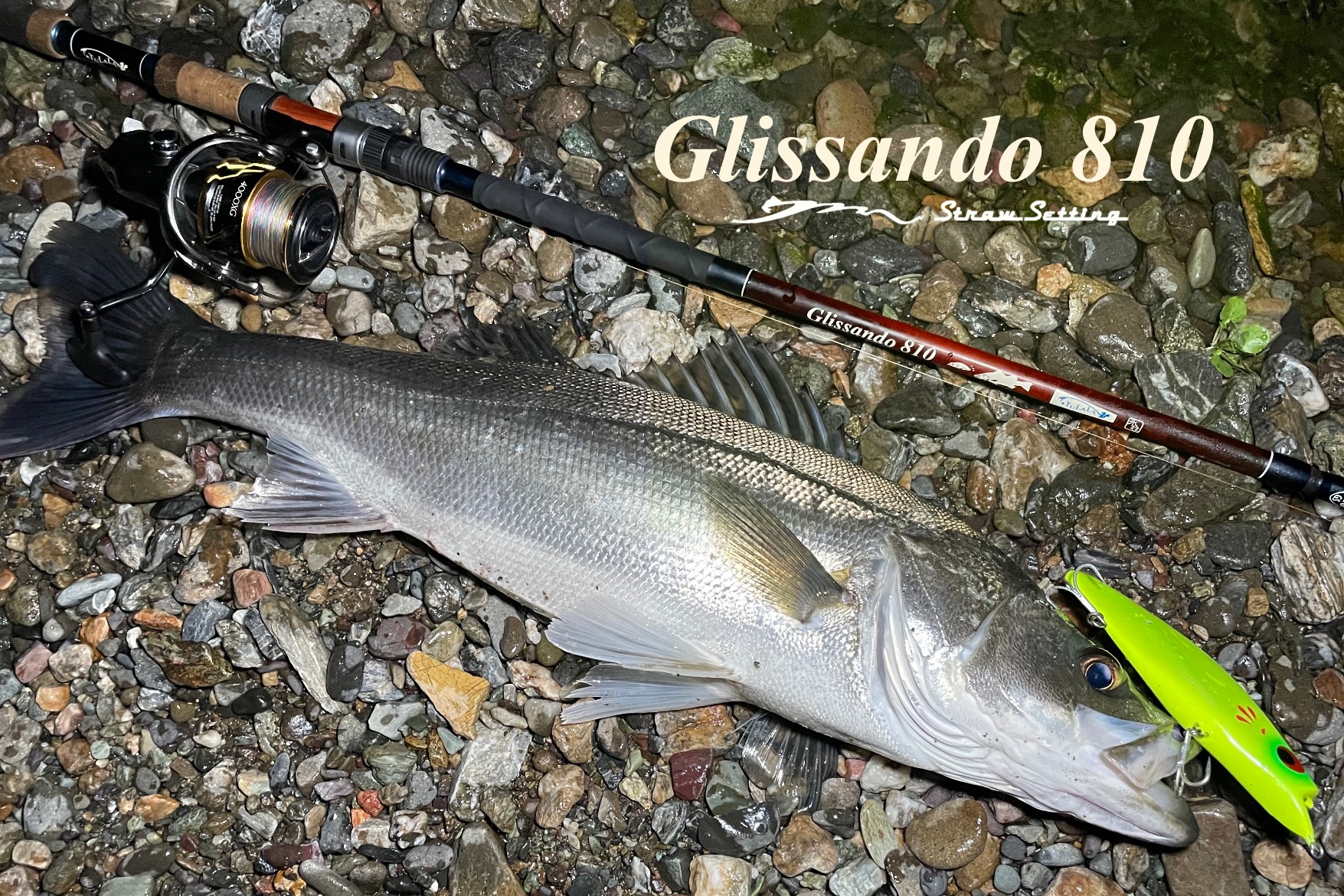 キョロキョログランデ / CHART BACK PALOT | RIDGELINE ONLINE SHOP