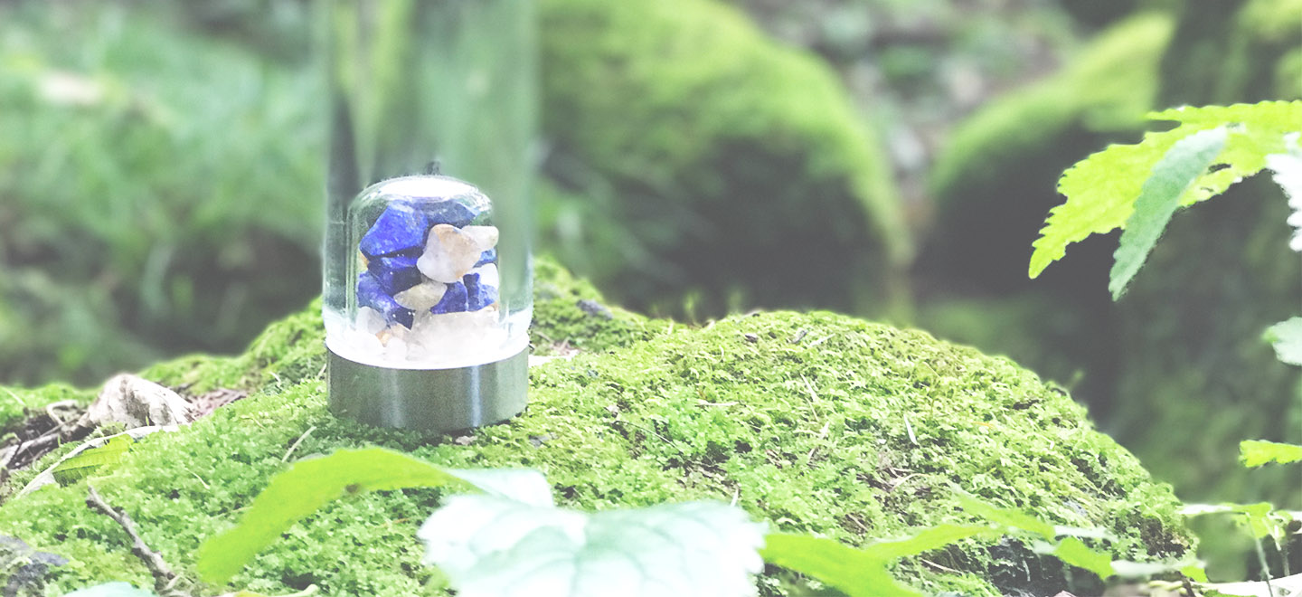 ヴィタジュエル ジャパン