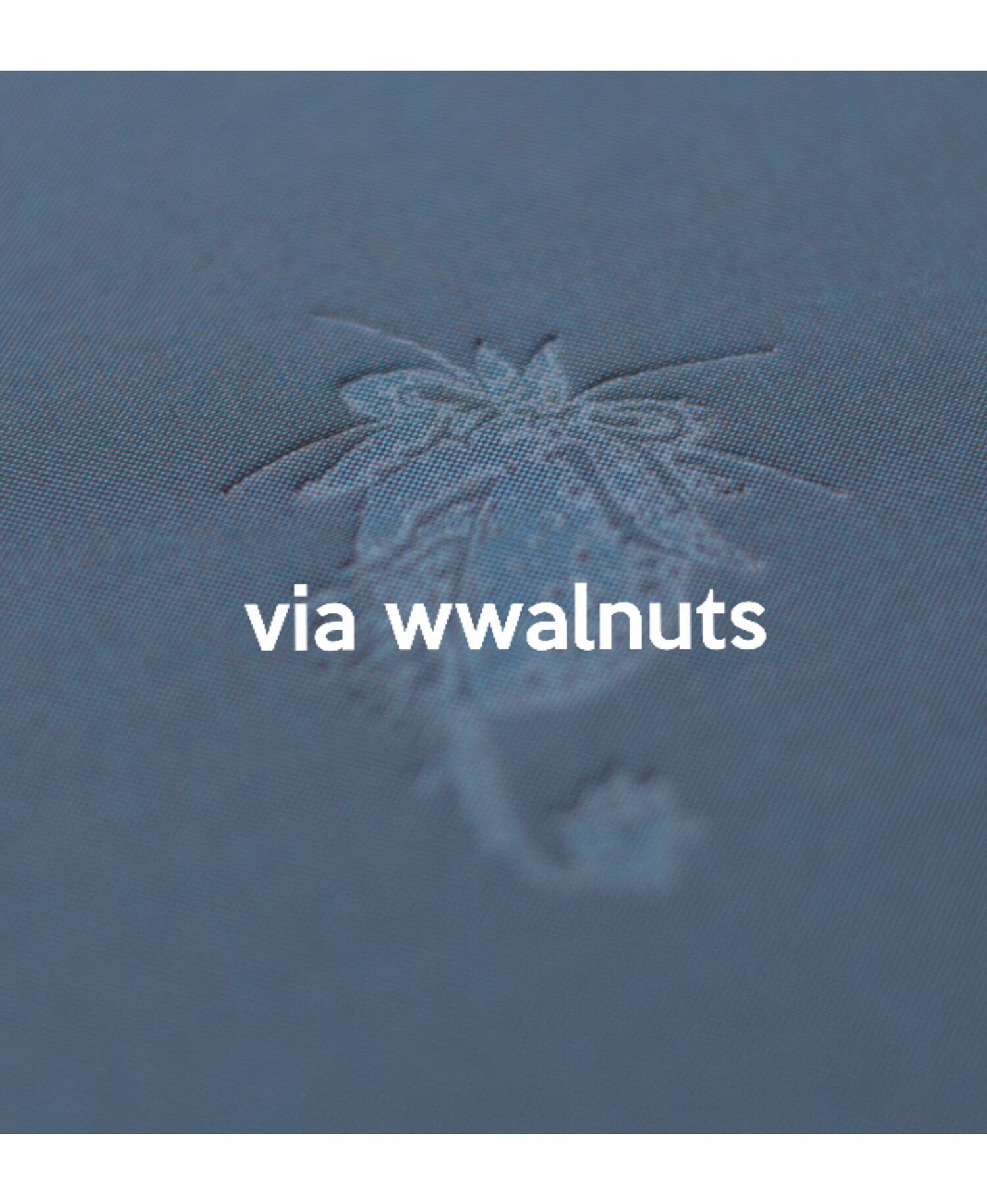 詩集 雷滴 特装版 平出隆 | store_via wwalnuts