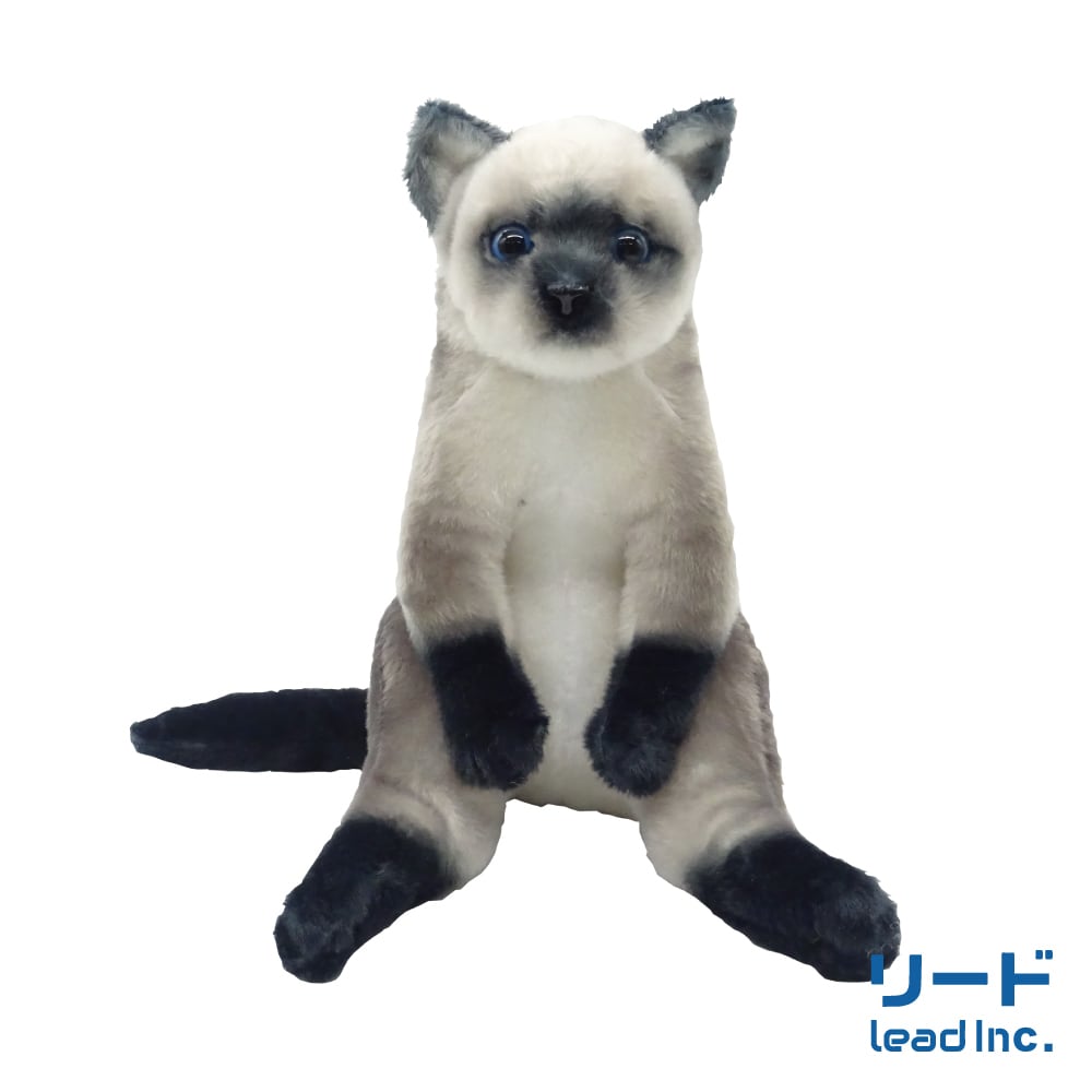 すわっちぃZooにゃんこ シャム猫 | リードのおみせ Catail