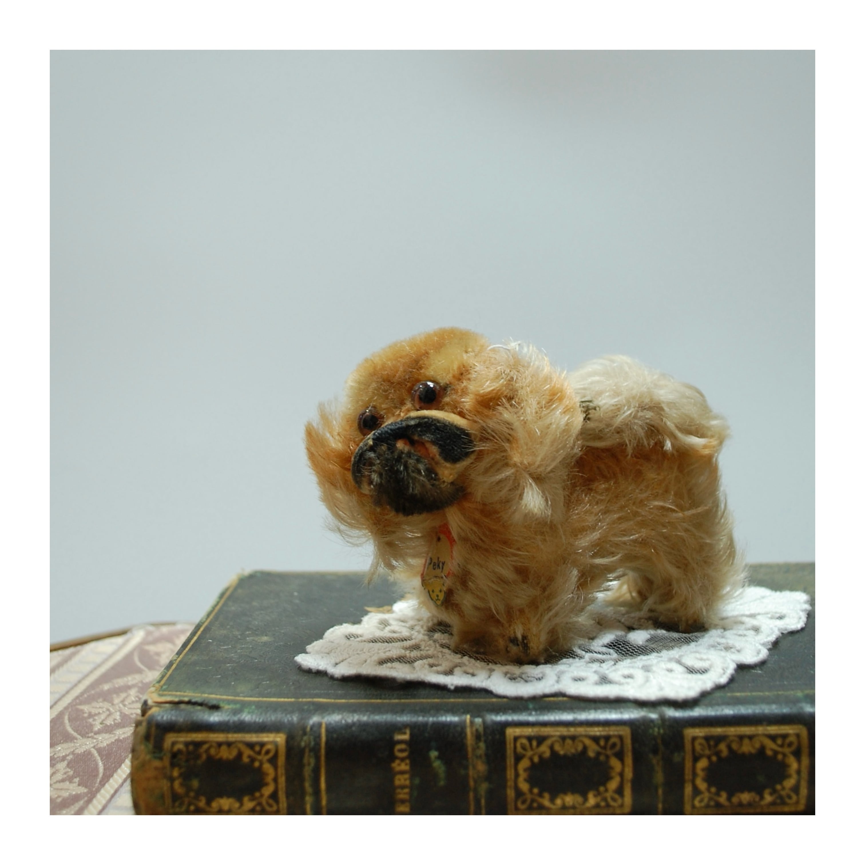 53f35753c22d29c56875a6d37aa193