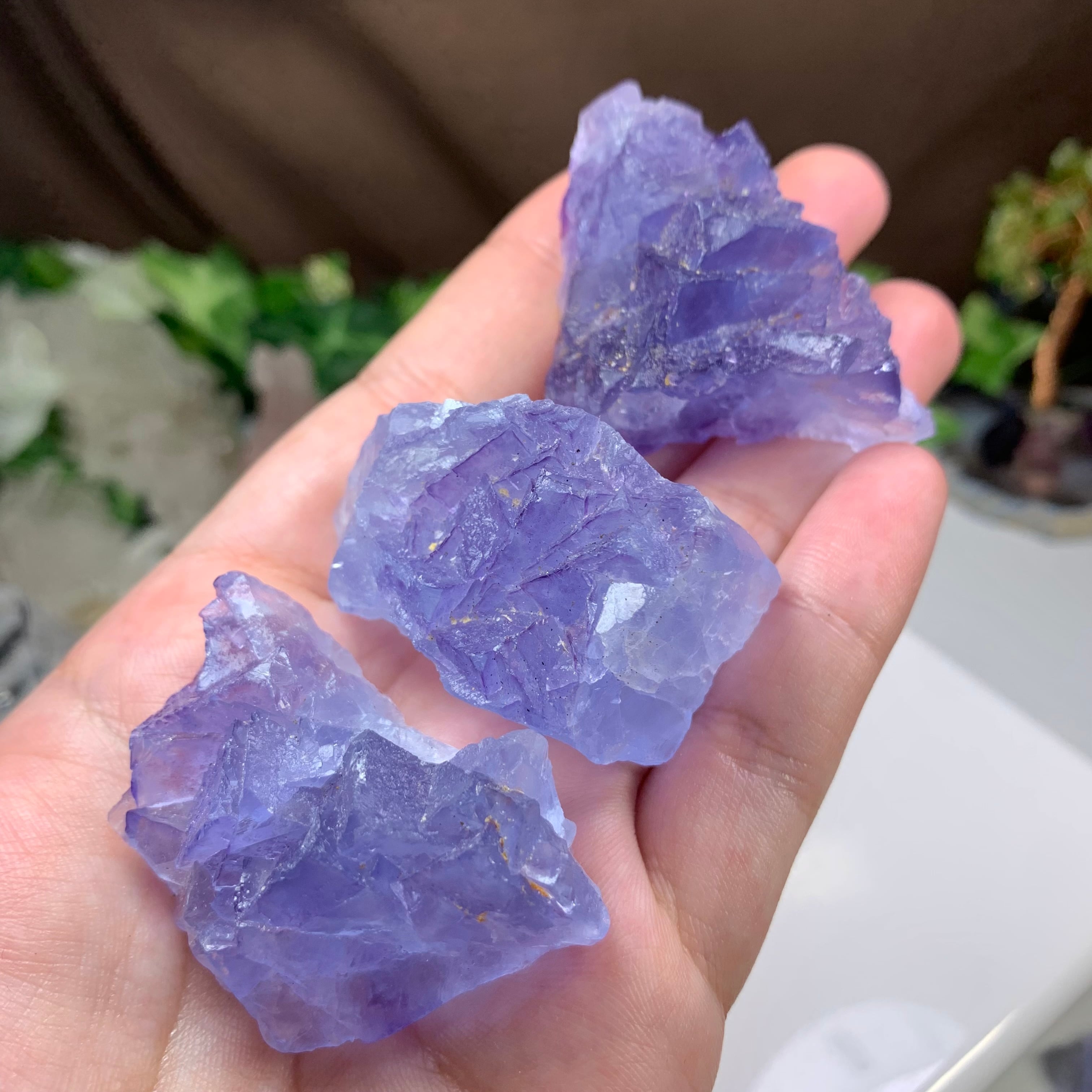 45.3個セット☆幻想的な色合い☆ヤオガンシャン産・パープルフロー