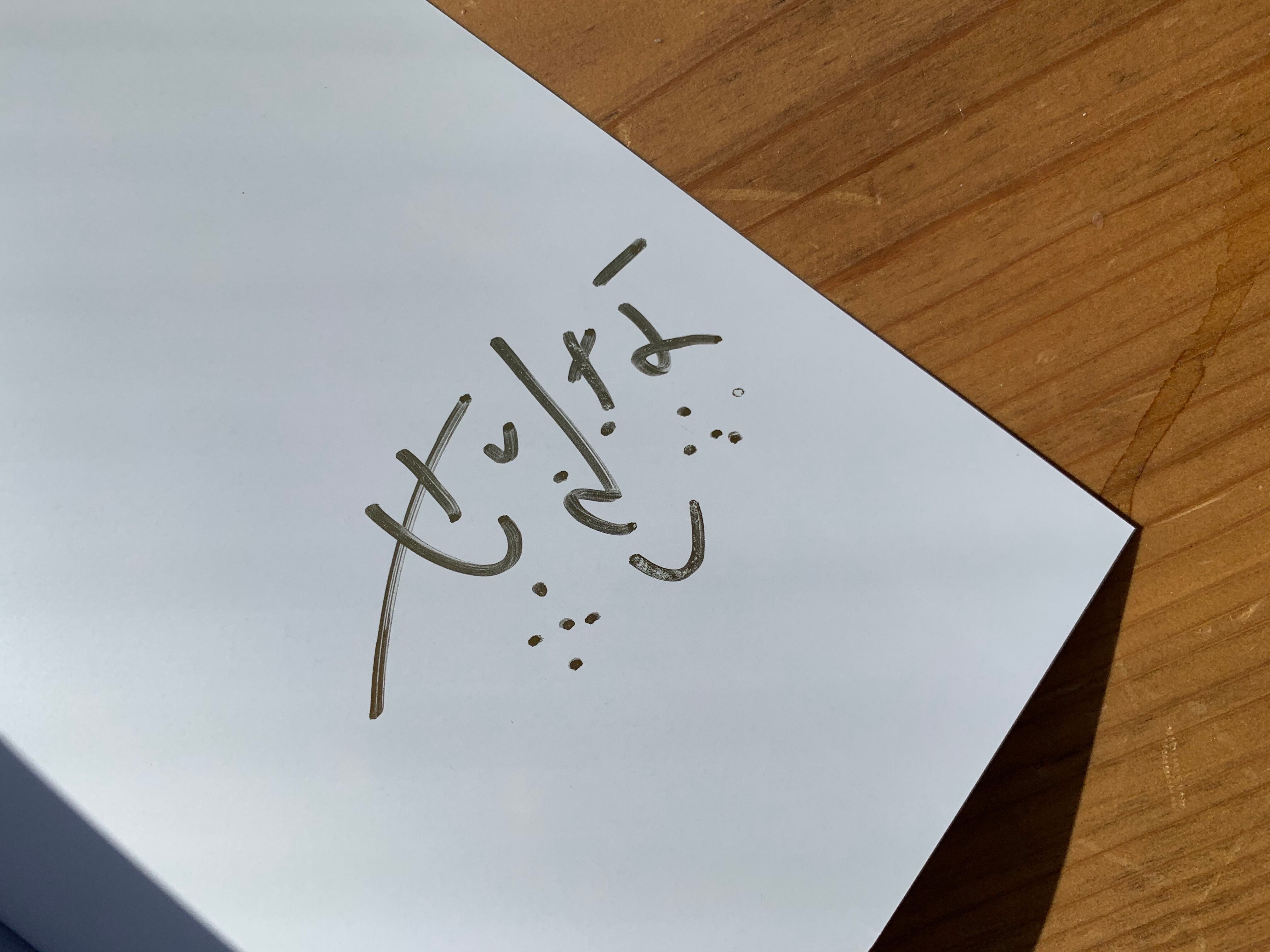 サイン入り】YOKO KUSANO / MOTOLA SERENA | STANDARD BOOKSTORE