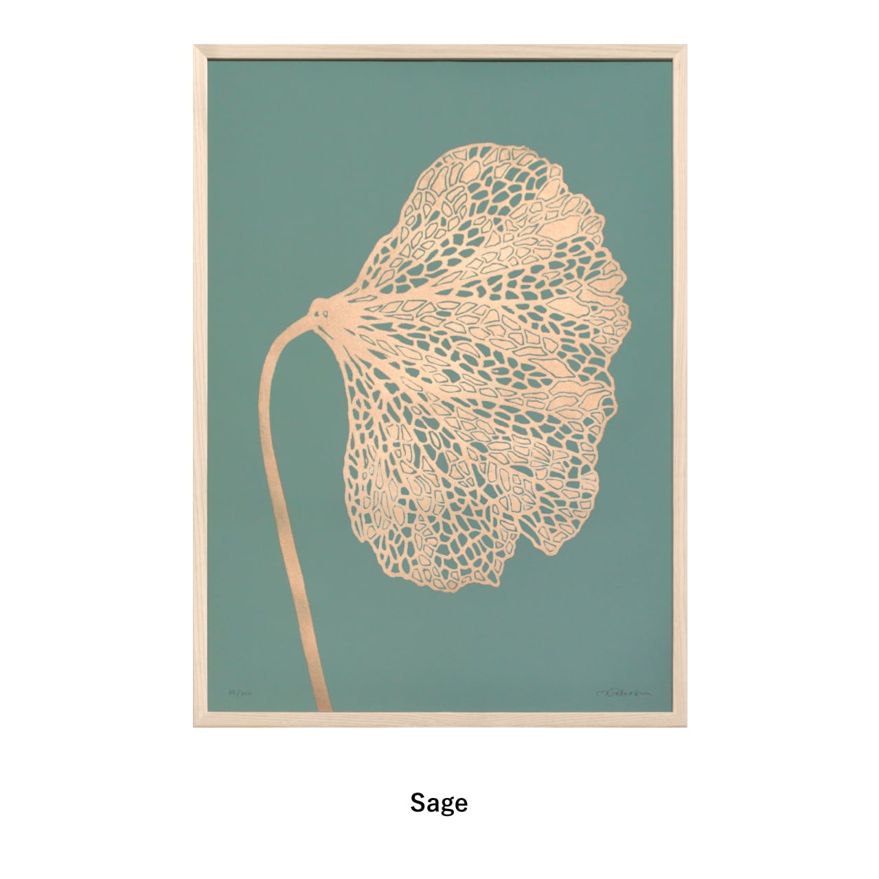 6895e48fd803c675e7d2b3eb3ac528