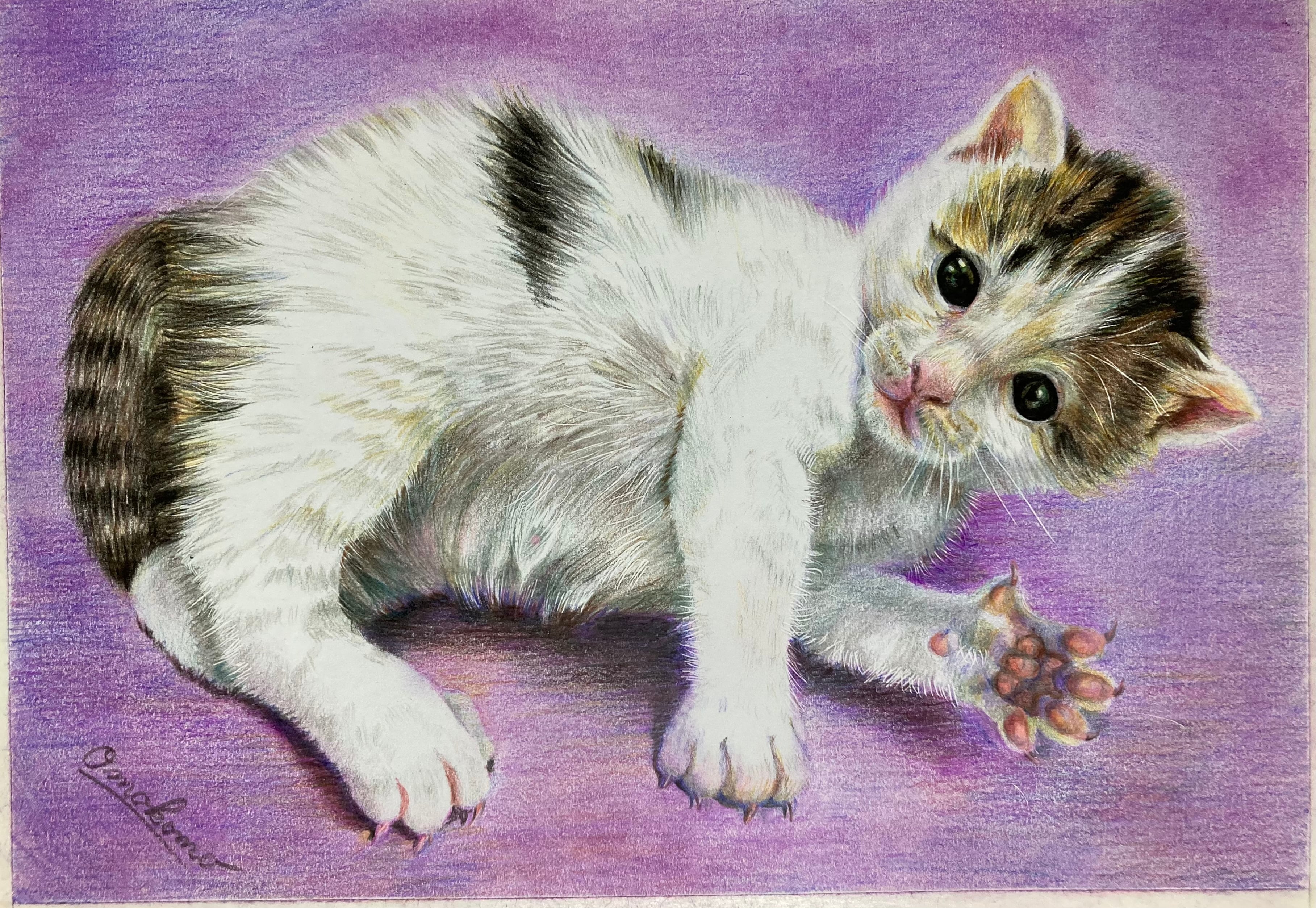 オーダーメイド色鉛筆画(A4サイズ) | ペットの肖像画屋さん