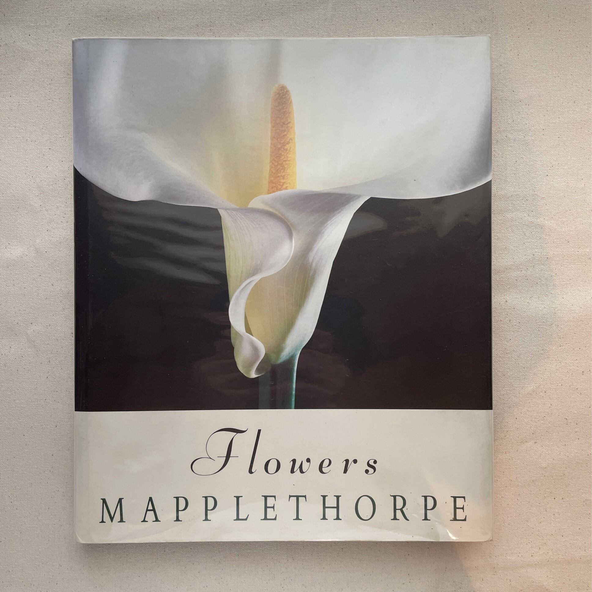 Flowers / Robert Mapplethorpe（メイプルソープ） | 汀線 / TEISEN BOOKS