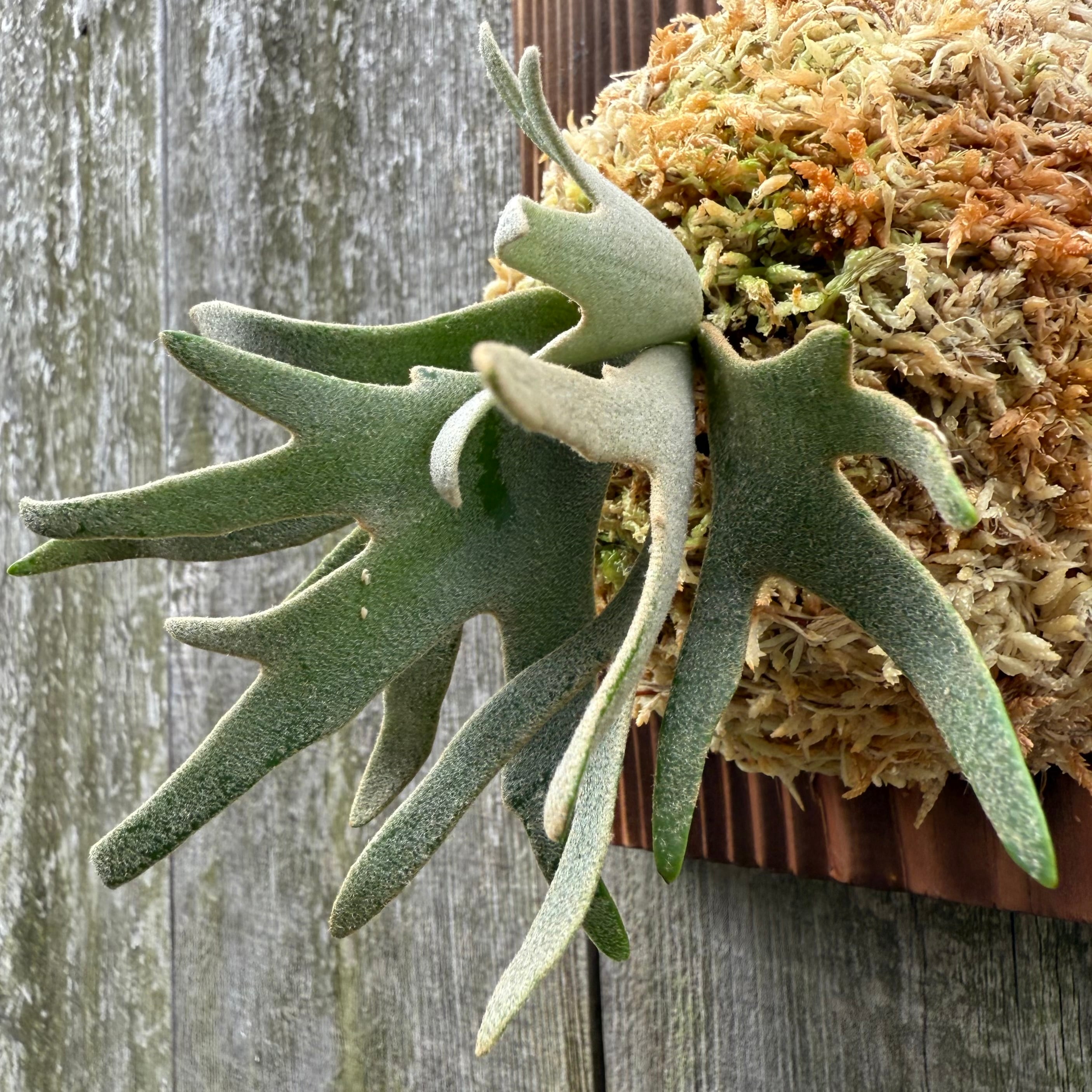 7a64b3f1c60cfe4cde22c857481f3d