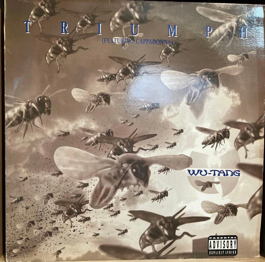 ARCHE / SUBLIMATED (LP) | レコードライク 中古レコード専門店