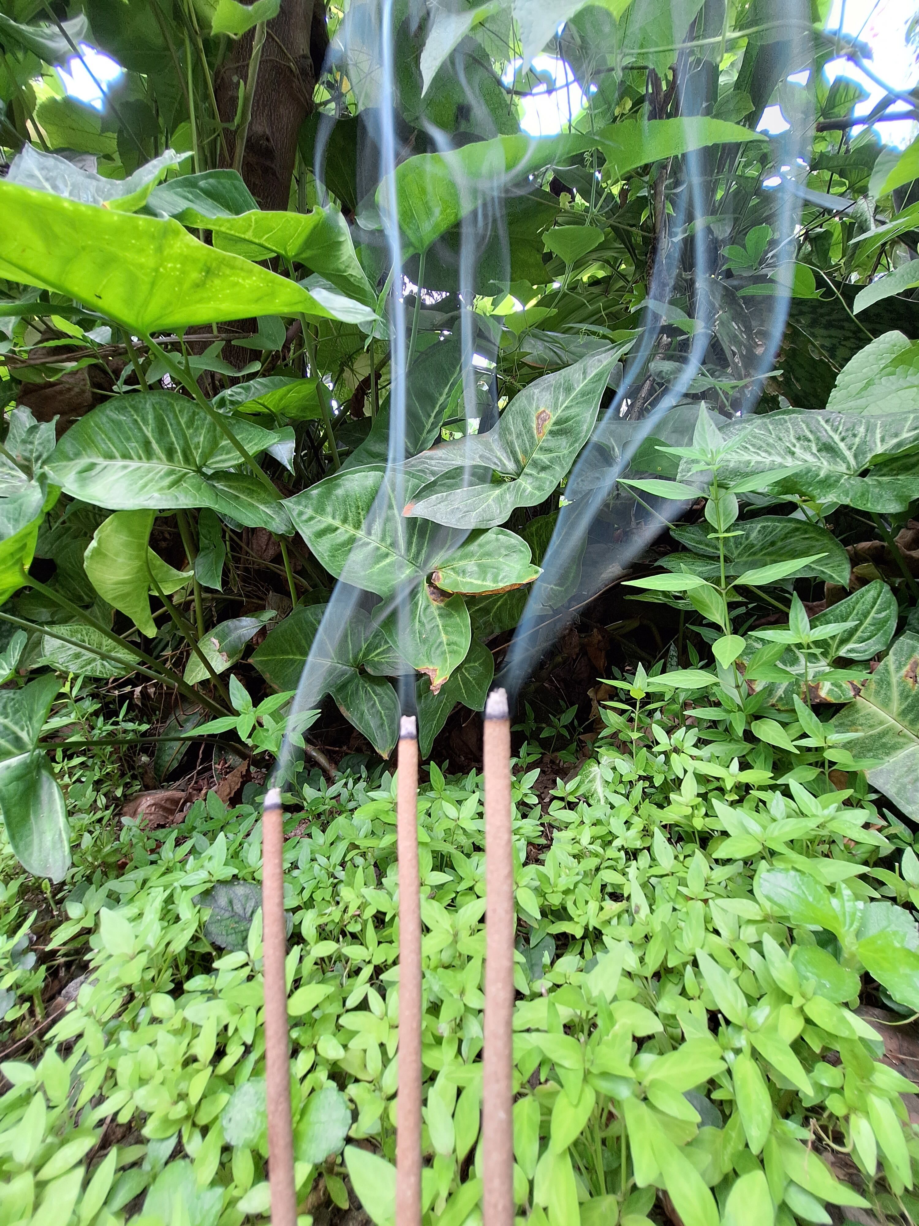 サンダルウッド/白檀】のお香 102本入 | 完全天然100% バリ島発 独自