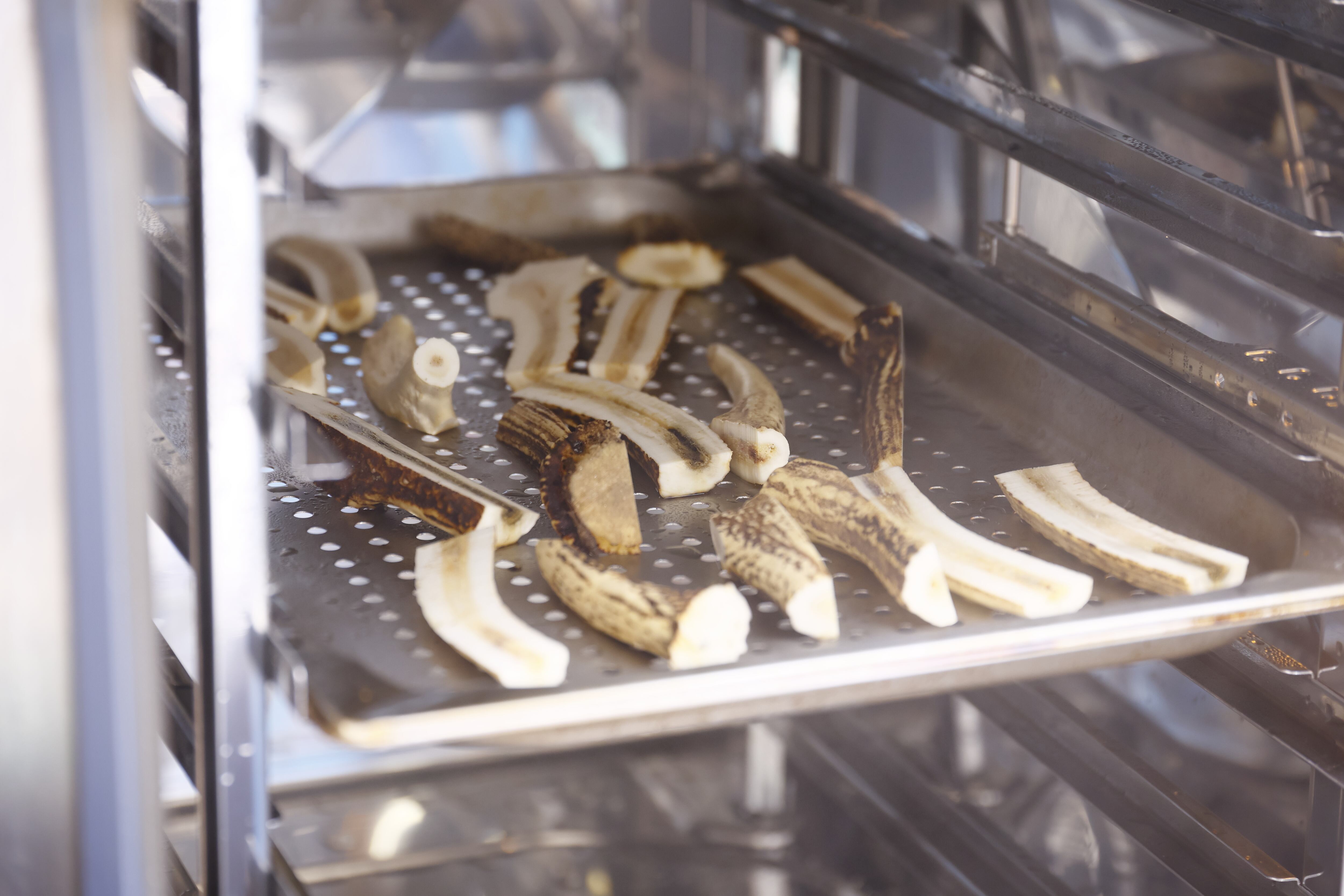 鹿の骨 | wajica -わじか-