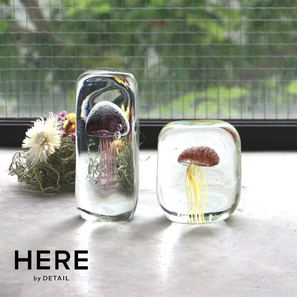 91fafb7388aba377a81d32ec3fecd0