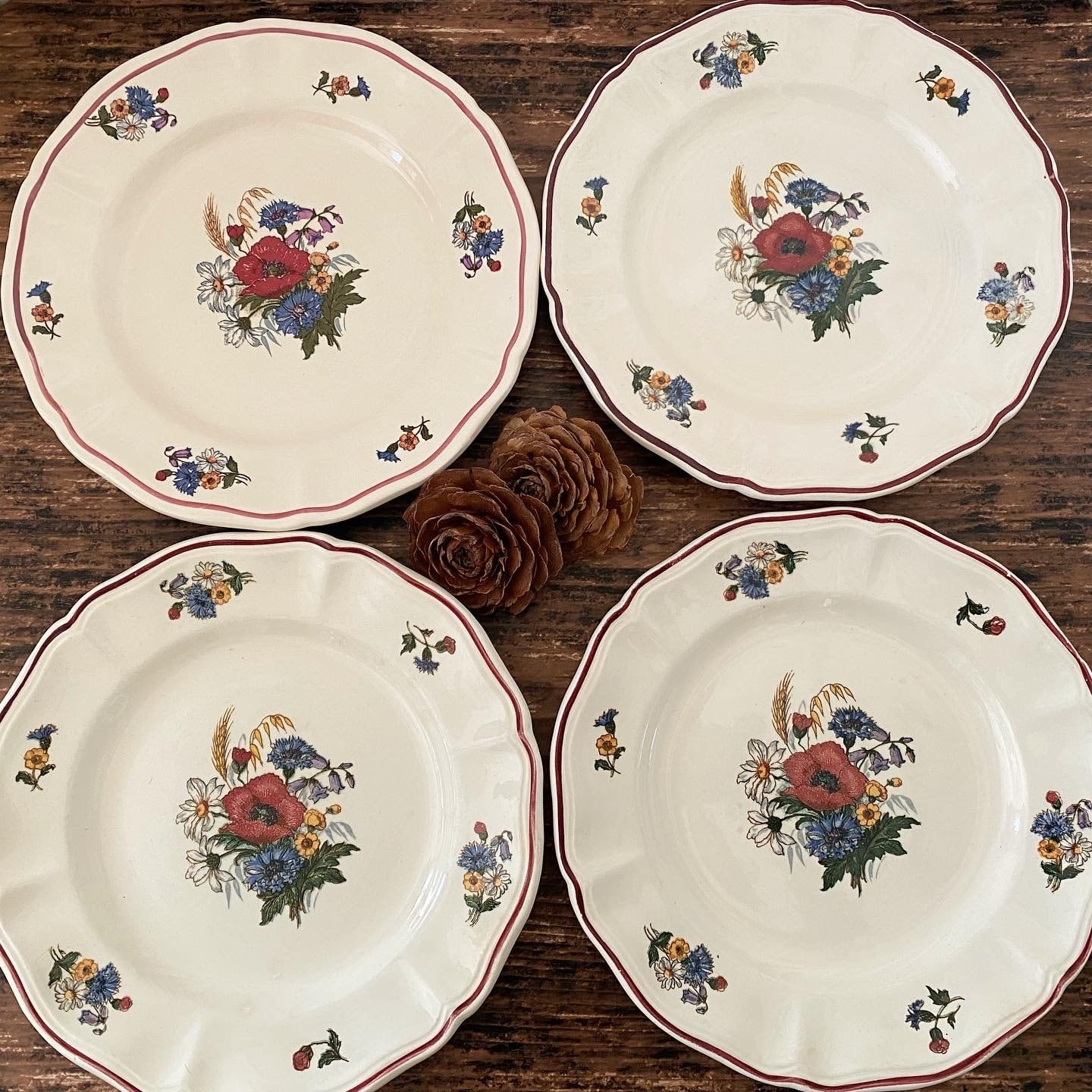 1920-1950年代 サルグミンヌ “アグレスト” 花リムプレート【フランス