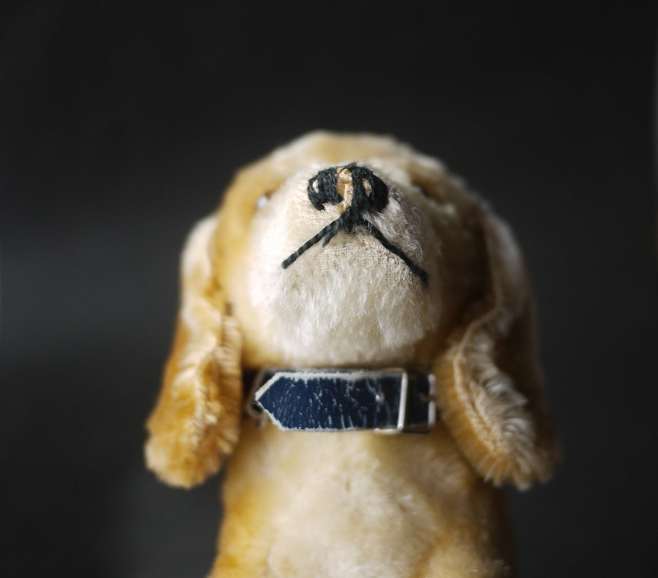 シュタイフ Bazi ダックスフント ドイツ STEIFF | こりすのパン屋Base